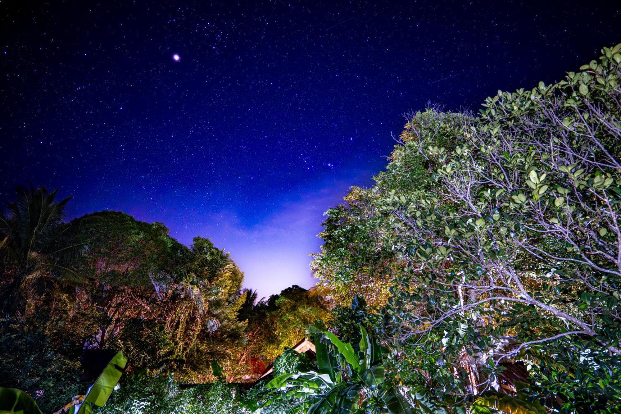 Easy Tiger - M'Pai Bay Beach, Koh Rong Sanloem Exterior photo